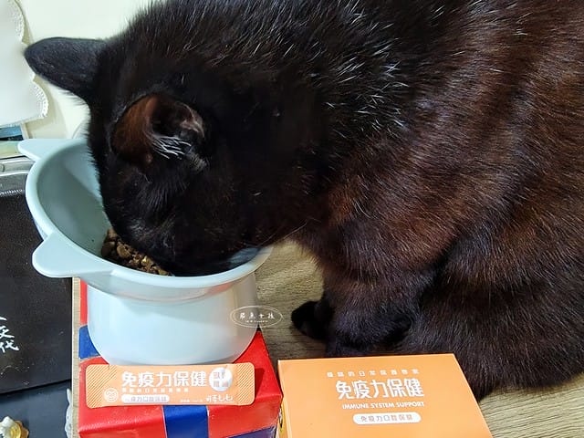 可蒂毛毛評價,貓咪3護型免疫營養品評價,貓咪免疫力保健心得,貓提升免疫好物分享,貓咪愛吃保健品開箱,貓常備保健品分享,貓增強免疫力產品開箱,貓改善體質好物分享,貓營養保健品開箱,貓換季保養品分享,貓咪抵抗力差怎麼辦,貓咪增強抵抗力產品心得,貓免疫營養粉開箱,排毛粉推薦,貓咪免疫力提升dcard,貓咪免疫力提升ptt,貓咪益生菌dcard,如何 增加貓咪免疫力,可蒂毛毛,貓用3護型免疫營養品,貓咪排毛粉推薦,貓咪化毛粉推薦 可蒂毛毛評價,貓咪3護型免疫營養品評價,貓咪免疫力保健心得,貓提升免疫好物分享,貓咪愛吃保健品開箱,貓常備保健品分享,貓增強免疫力產品開箱,貓改善體質好物分享,貓營養保健品開箱,貓換季保養品分享,貓咪抵抗力差怎麼辦,貓咪增強抵抗力產品心得,貓免疫營養粉開箱,排毛粉推薦,貓咪免疫力提升dcard,貓咪免疫力提升ptt,貓咪益生菌dcard,如何 增加貓咪免疫力,可蒂毛毛,貓用3護型免疫營養品,貓咪排毛粉推薦,貓咪化毛粉推薦