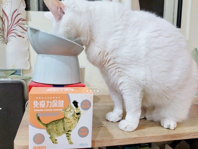 可蒂毛毛評價,貓咪3護型免疫營養品評價,貓咪免疫力保健心得,貓提升免疫好物分享,貓咪愛吃保健品開箱,貓常備保健品分享,貓增強免疫力產品開箱,貓改善體質好物分享,貓營養保健品開箱,貓換季保養品分享,貓咪抵抗力差怎麼辦,貓咪增強抵抗力產品心得,貓免疫營養粉開箱,排毛粉推薦,貓咪免疫力提升dcard,貓咪免疫力提升ptt,貓咪益生菌dcard,如何 增加貓咪免疫力,可蒂毛毛,貓用3護型免疫營養品,貓咪排毛粉推薦,貓咪化毛粉推薦 可蒂毛毛評價,貓咪3護型免疫營養品評價,貓咪免疫力保健心得,貓提升免疫好物分享,貓咪愛吃保健品開箱,貓常備保健品分享,貓增強免疫力產品開箱,貓改善體質好物分享,貓營養保健品開箱,貓換季保養品分享,貓咪抵抗力差怎麼辦,貓咪增強抵抗力產品心得,貓免疫營養粉開箱,排毛粉推薦,貓咪免疫力提升dcard,貓咪免疫力提升ptt,貓咪益生菌dcard,如何 增加貓咪免疫力,可蒂毛毛,貓用3護型免疫營養品,貓咪排毛粉推薦,貓咪化毛粉推薦