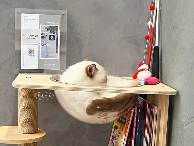 貓咪指甲斷掉,貓咪指甲流血會自己好嗎,貓貓指甲整個掉了怎麼辦,貓咪指甲斷掉dcard,貓咪指甲斷掉包紮,貓咪指甲裂開流血,貓咪指甲流血優碘,貓咪受傷,貓咪指甲斷掉流血,貓咪落甲,貓咪指甲流血會痛嗎,板橋貓咪醫院,板橋動物醫院推薦,板橋動物醫院dcard,板橋動物醫院ptt,板橋文化路動物醫院,板橋動物醫院推薦ptt,板橋動物醫院 貓,呼嚕貓專科醫院 Purring Cat Hospital預約制看診(板橋動物醫院推薦),呼嚕貓專科醫院 評價,板橋獸醫院,板橋獸醫院推薦,新埔動物醫院,江子翠動物醫院,板橋動物醫院評價 貓咪指甲斷掉,貓咪指甲流血會自己好嗎,貓貓指甲整個掉了怎麼辦,貓咪指甲斷掉dcard,貓咪指甲斷掉包紮,貓咪指甲裂開流血,貓咪指甲流血優碘,貓咪受傷,貓咪指甲斷掉流血,貓咪落甲,貓咪指甲流血會痛嗎,板橋貓咪醫院,板橋動物醫院推薦,板橋動物醫院dcard,板橋動物醫院ptt,板橋文化路動物醫院,板橋動物醫院推薦ptt,板橋動物醫院 貓,呼嚕貓專科醫院 Purring Cat Hospital預約制看診(板橋動物醫院推薦),呼嚕貓專科醫院 評價,板橋獸醫院,板橋獸醫院推薦,新埔動物醫院,江子翠動物醫院,板橋動物醫院評價