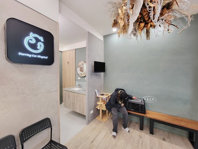 貓咪指甲斷掉,貓咪指甲流血會自己好嗎,貓貓指甲整個掉了怎麼辦,貓咪指甲斷掉dcard,貓咪指甲斷掉包紮,貓咪指甲裂開流血,貓咪指甲流血優碘,貓咪受傷,貓咪指甲斷掉流血,貓咪落甲,貓咪指甲流血會痛嗎,板橋貓咪醫院,板橋動物醫院推薦,板橋動物醫院dcard,板橋動物醫院ptt,板橋文化路動物醫院,板橋動物醫院推薦ptt,板橋動物醫院 貓,呼嚕貓專科醫院 Purring Cat Hospital預約制看診(板橋動物醫院推薦),呼嚕貓專科醫院 評價,板橋獸醫院,板橋獸醫院推薦,新埔動物醫院,江子翠動物醫院,板橋動物醫院評價 貓咪指甲斷掉,貓咪指甲流血會自己好嗎,貓貓指甲整個掉了怎麼辦,貓咪指甲斷掉dcard,貓咪指甲斷掉包紮,貓咪指甲裂開流血,貓咪指甲流血優碘,貓咪受傷,貓咪指甲斷掉流血,貓咪落甲,貓咪指甲流血會痛嗎,板橋貓咪醫院,板橋動物醫院推薦,板橋動物醫院dcard,板橋動物醫院ptt,板橋文化路動物醫院,板橋動物醫院推薦ptt,板橋動物醫院 貓,呼嚕貓專科醫院 Purring Cat Hospital預約制看診(板橋動物醫院推薦),呼嚕貓專科醫院 評價,板橋獸醫院,板橋獸醫院推薦,新埔動物醫院,江子翠動物醫院,板橋動物醫院評價