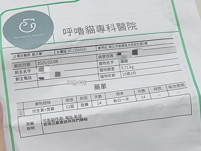 貓咪指甲斷掉,貓咪指甲流血會自己好嗎,貓貓指甲整個掉了怎麼辦,貓咪指甲斷掉dcard,貓咪指甲斷掉包紮,貓咪指甲裂開流血,貓咪指甲流血優碘,貓咪受傷,貓咪指甲斷掉流血,貓咪落甲,貓咪指甲流血會痛嗎,板橋貓咪醫院,板橋動物醫院推薦,板橋動物醫院dcard,板橋動物醫院ptt,板橋文化路動物醫院,板橋動物醫院推薦ptt,板橋動物醫院 貓,呼嚕貓專科醫院 Purring Cat Hospital預約制看診(板橋動物醫院推薦),呼嚕貓專科醫院 評價,板橋獸醫院,板橋獸醫院推薦,新埔動物醫院,江子翠動物醫院,板橋動物醫院評價 貓咪指甲斷掉,貓咪指甲流血會自己好嗎,貓貓指甲整個掉了怎麼辦,貓咪指甲斷掉dcard,貓咪指甲斷掉包紮,貓咪指甲裂開流血,貓咪指甲流血優碘,貓咪受傷,貓咪指甲斷掉流血,貓咪落甲,貓咪指甲流血會痛嗎,板橋貓咪醫院,板橋動物醫院推薦,板橋動物醫院dcard,板橋動物醫院ptt,板橋文化路動物醫院,板橋動物醫院推薦ptt,板橋動物醫院 貓,呼嚕貓專科醫院 Purring Cat Hospital預約制看診(板橋動物醫院推薦),呼嚕貓專科醫院 評價,板橋獸醫院,板橋獸醫院推薦,新埔動物醫院,江子翠動物醫院,板橋動物醫院評價