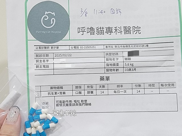 貓咪指甲斷掉,貓咪指甲流血會自己好嗎,貓貓指甲整個掉了怎麼辦,貓咪指甲斷掉dcard,貓咪指甲斷掉包紮,貓咪指甲裂開流血,貓咪指甲流血優碘,貓咪受傷,貓咪指甲斷掉流血,貓咪落甲,貓咪指甲流血會痛嗎,板橋貓咪醫院,板橋動物醫院推薦,板橋動物醫院dcard,板橋動物醫院ptt,板橋文化路動物醫院,板橋動物醫院推薦ptt,板橋動物醫院 貓,呼嚕貓專科醫院 Purring Cat Hospital預約制看診(板橋動物醫院推薦),呼嚕貓專科醫院 評價,板橋獸醫院,板橋獸醫院推薦,新埔動物醫院,江子翠動物醫院,板橋動物醫院評價 貓咪指甲斷掉,貓咪指甲流血會自己好嗎,貓貓指甲整個掉了怎麼辦,貓咪指甲斷掉dcard,貓咪指甲斷掉包紮,貓咪指甲裂開流血,貓咪指甲流血優碘,貓咪受傷,貓咪指甲斷掉流血,貓咪落甲,貓咪指甲流血會痛嗎,板橋貓咪醫院,板橋動物醫院推薦,板橋動物醫院dcard,板橋動物醫院ptt,板橋文化路動物醫院,板橋動物醫院推薦ptt,板橋動物醫院 貓,呼嚕貓專科醫院 Purring Cat Hospital預約制看診(板橋動物醫院推薦),呼嚕貓專科醫院 評價,板橋獸醫院,板橋獸醫院推薦,新埔動物醫院,江子翠動物醫院,板橋動物醫院評價