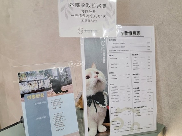 貓咪指甲斷掉,貓咪指甲流血會自己好嗎,貓貓指甲整個掉了怎麼辦,貓咪指甲斷掉dcard,貓咪指甲斷掉包紮,貓咪指甲裂開流血,貓咪指甲流血優碘,貓咪受傷,貓咪指甲斷掉流血,貓咪落甲,貓咪指甲流血會痛嗎,板橋貓咪醫院,板橋動物醫院推薦,板橋動物醫院dcard,板橋動物醫院ptt,板橋文化路動物醫院,板橋動物醫院推薦ptt,板橋動物醫院 貓,呼嚕貓專科醫院 Purring Cat Hospital預約制看診(板橋動物醫院推薦),呼嚕貓專科醫院 評價,板橋獸醫院,板橋獸醫院推薦,新埔動物醫院,江子翠動物醫院,板橋動物醫院評價 貓咪指甲斷掉,貓咪指甲流血會自己好嗎,貓貓指甲整個掉了怎麼辦,貓咪指甲斷掉dcard,貓咪指甲斷掉包紮,貓咪指甲裂開流血,貓咪指甲流血優碘,貓咪受傷,貓咪指甲斷掉流血,貓咪落甲,貓咪指甲流血會痛嗎,板橋貓咪醫院,板橋動物醫院推薦,板橋動物醫院dcard,板橋動物醫院ptt,板橋文化路動物醫院,板橋動物醫院推薦ptt,板橋動物醫院 貓,呼嚕貓專科醫院 Purring Cat Hospital預約制看診(板橋動物醫院推薦),呼嚕貓專科醫院 評價,板橋獸醫院,板橋獸醫院推薦,新埔動物醫院,江子翠動物醫院,板橋動物醫院評價