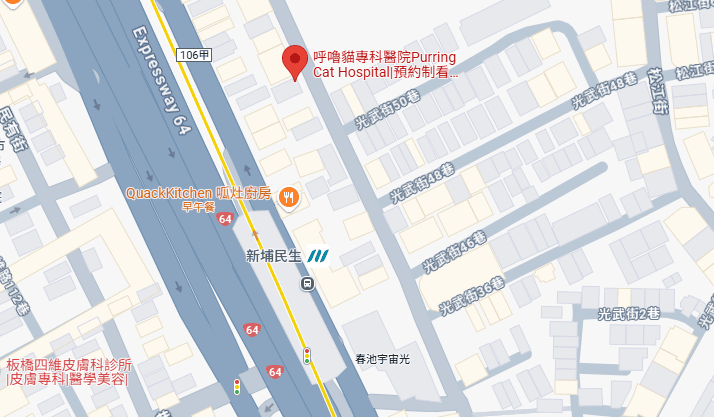 貓咪指甲斷掉,貓咪指甲流血會自己好嗎,貓貓指甲整個掉了怎麼辦,貓咪指甲斷掉dcard,貓咪指甲斷掉包紮,貓咪指甲裂開流血,貓咪指甲流血優碘,貓咪受傷,貓咪指甲斷掉流血,貓咪落甲,貓咪指甲流血會痛嗎,板橋貓咪醫院,板橋動物醫院推薦,板橋動物醫院dcard,板橋動物醫院ptt,板橋文化路動物醫院,板橋動物醫院推薦ptt,板橋動物醫院 貓,呼嚕貓專科醫院 Purring Cat Hospital預約制看診(板橋動物醫院推薦),呼嚕貓專科醫院 評價,板橋獸醫院,板橋獸醫院推薦,新埔動物醫院,江子翠動物醫院,板橋動物醫院評價 貓咪指甲斷掉,貓咪指甲流血會自己好嗎,貓貓指甲整個掉了怎麼辦,貓咪指甲斷掉dcard,貓咪指甲斷掉包紮,貓咪指甲裂開流血,貓咪指甲流血優碘,貓咪受傷,貓咪指甲斷掉流血,貓咪落甲,貓咪指甲流血會痛嗎,板橋貓咪醫院,板橋動物醫院推薦,板橋動物醫院dcard,板橋動物醫院ptt,板橋文化路動物醫院,板橋動物醫院推薦ptt,板橋動物醫院 貓,呼嚕貓專科醫院 Purring Cat Hospital預約制看診(板橋動物醫院推薦),呼嚕貓專科醫院 評價,板橋獸醫院,板橋獸醫院推薦,新埔動物醫院,江子翠動物醫院,板橋動物醫院評價