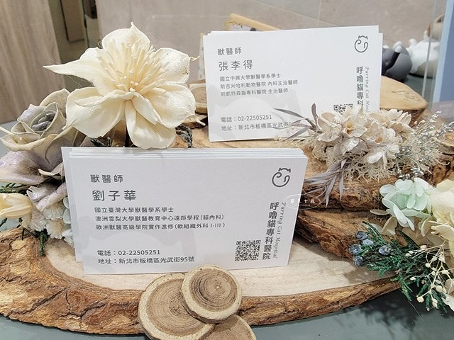 貓咪指甲斷掉,貓咪指甲流血會自己好嗎,貓貓指甲整個掉了怎麼辦,貓咪指甲斷掉dcard,貓咪指甲斷掉包紮,貓咪指甲裂開流血,貓咪指甲流血優碘,貓咪受傷,貓咪指甲斷掉流血,貓咪落甲,貓咪指甲流血會痛嗎,板橋貓咪醫院,板橋動物醫院推薦,板橋動物醫院dcard,板橋動物醫院ptt,板橋文化路動物醫院,板橋動物醫院推薦ptt,板橋動物醫院 貓,呼嚕貓專科醫院 Purring Cat Hospital預約制看診(板橋動物醫院推薦),呼嚕貓專科醫院 評價,板橋獸醫院,板橋獸醫院推薦,新埔動物醫院,江子翠動物醫院,板橋動物醫院評價 貓咪指甲斷掉,貓咪指甲流血會自己好嗎,貓貓指甲整個掉了怎麼辦,貓咪指甲斷掉dcard,貓咪指甲斷掉包紮,貓咪指甲裂開流血,貓咪指甲流血優碘,貓咪受傷,貓咪指甲斷掉流血,貓咪落甲,貓咪指甲流血會痛嗎,板橋貓咪醫院,板橋動物醫院推薦,板橋動物醫院dcard,板橋動物醫院ptt,板橋文化路動物醫院,板橋動物醫院推薦ptt,板橋動物醫院 貓,呼嚕貓專科醫院 Purring Cat Hospital預約制看診(板橋動物醫院推薦),呼嚕貓專科醫院 評價,板橋獸醫院,板橋獸醫院推薦,新埔動物醫院,江子翠動物醫院,板橋動物醫院評價