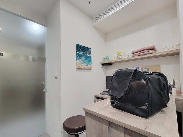 貓咪指甲斷掉,貓咪指甲流血會自己好嗎,貓貓指甲整個掉了怎麼辦,貓咪指甲斷掉dcard,貓咪指甲斷掉包紮,貓咪指甲裂開流血,貓咪指甲流血優碘,貓咪受傷,貓咪指甲斷掉流血,貓咪落甲,貓咪指甲流血會痛嗎,板橋貓咪醫院,板橋動物醫院推薦,板橋動物醫院dcard,板橋動物醫院ptt,板橋文化路動物醫院,板橋動物醫院推薦ptt,板橋動物醫院 貓,呼嚕貓專科醫院 Purring Cat Hospital預約制看診(板橋動物醫院推薦),呼嚕貓專科醫院 評價,板橋獸醫院,板橋獸醫院推薦,新埔動物醫院,江子翠動物醫院,板橋動物醫院評價 貓咪指甲斷掉,貓咪指甲流血會自己好嗎,貓貓指甲整個掉了怎麼辦,貓咪指甲斷掉dcard,貓咪指甲斷掉包紮,貓咪指甲裂開流血,貓咪指甲流血優碘,貓咪受傷,貓咪指甲斷掉流血,貓咪落甲,貓咪指甲流血會痛嗎,板橋貓咪醫院,板橋動物醫院推薦,板橋動物醫院dcard,板橋動物醫院ptt,板橋文化路動物醫院,板橋動物醫院推薦ptt,板橋動物醫院 貓,呼嚕貓專科醫院 Purring Cat Hospital預約制看診(板橋動物醫院推薦),呼嚕貓專科醫院 評價,板橋獸醫院,板橋獸醫院推薦,新埔動物醫院,江子翠動物醫院,板橋動物醫院評價