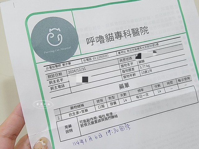 貓咪指甲斷掉,貓咪指甲流血會自己好嗎,貓貓指甲整個掉了怎麼辦,貓咪指甲斷掉dcard,貓咪指甲斷掉包紮,貓咪指甲裂開流血,貓咪指甲流血優碘,貓咪受傷,貓咪指甲斷掉流血,貓咪落甲,貓咪指甲流血會痛嗎,板橋貓咪醫院,板橋動物醫院推薦,板橋動物醫院dcard,板橋動物醫院ptt,板橋文化路動物醫院,板橋動物醫院推薦ptt,板橋動物醫院 貓,呼嚕貓專科醫院 Purring Cat Hospital預約制看診(板橋動物醫院推薦),呼嚕貓專科醫院 評價,板橋獸醫院,板橋獸醫院推薦,新埔動物醫院,江子翠動物醫院,板橋動物醫院評價 貓咪指甲斷掉,貓咪指甲流血會自己好嗎,貓貓指甲整個掉了怎麼辦,貓咪指甲斷掉dcard,貓咪指甲斷掉包紮,貓咪指甲裂開流血,貓咪指甲流血優碘,貓咪受傷,貓咪指甲斷掉流血,貓咪落甲,貓咪指甲流血會痛嗎,板橋貓咪醫院,板橋動物醫院推薦,板橋動物醫院dcard,板橋動物醫院ptt,板橋文化路動物醫院,板橋動物醫院推薦ptt,板橋動物醫院 貓,呼嚕貓專科醫院 Purring Cat Hospital預約制看診(板橋動物醫院推薦),呼嚕貓專科醫院 評價,板橋獸醫院,板橋獸醫院推薦,新埔動物醫院,江子翠動物醫院,板橋動物醫院評價