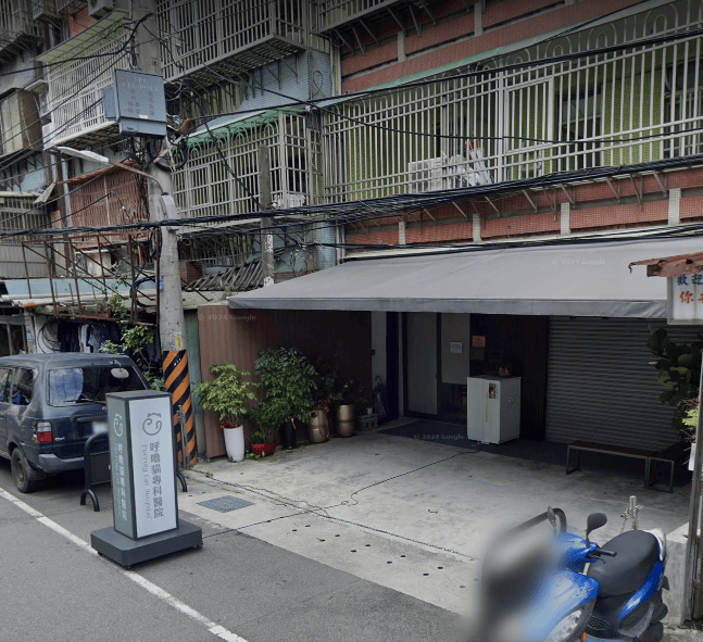 貓咪指甲斷掉,貓咪指甲流血會自己好嗎,貓貓指甲整個掉了怎麼辦,貓咪指甲斷掉dcard,貓咪指甲斷掉包紮,貓咪指甲裂開流血,貓咪指甲流血優碘,貓咪受傷,貓咪指甲斷掉流血,貓咪落甲,貓咪指甲流血會痛嗎,板橋貓咪醫院,板橋動物醫院推薦,板橋動物醫院dcard,板橋動物醫院ptt,板橋文化路動物醫院,板橋動物醫院推薦ptt,板橋動物醫院 貓,呼嚕貓專科醫院 Purring Cat Hospital預約制看診(板橋動物醫院推薦),呼嚕貓專科醫院 評價,板橋獸醫院,板橋獸醫院推薦,新埔動物醫院,江子翠動物醫院,板橋動物醫院評價 貓咪指甲斷掉,貓咪指甲流血會自己好嗎,貓貓指甲整個掉了怎麼辦,貓咪指甲斷掉dcard,貓咪指甲斷掉包紮,貓咪指甲裂開流血,貓咪指甲流血優碘,貓咪受傷,貓咪指甲斷掉流血,貓咪落甲,貓咪指甲流血會痛嗎,板橋貓咪醫院,板橋動物醫院推薦,板橋動物醫院dcard,板橋動物醫院ptt,板橋文化路動物醫院,板橋動物醫院推薦ptt,板橋動物醫院 貓,呼嚕貓專科醫院 Purring Cat Hospital預約制看診(板橋動物醫院推薦),呼嚕貓專科醫院 評價,板橋獸醫院,板橋獸醫院推薦,新埔動物醫院,江子翠動物醫院,板橋動物醫院評價