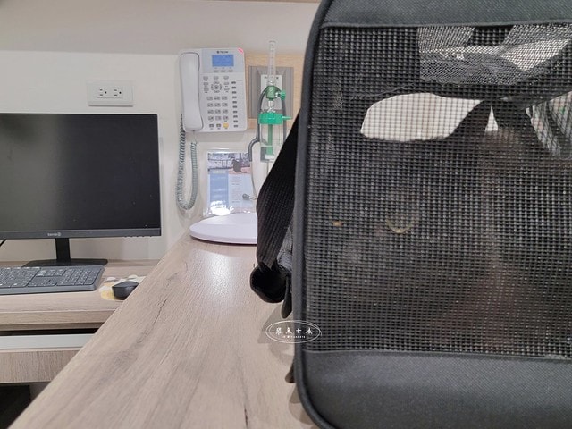 貓咪指甲斷掉,貓咪指甲流血會自己好嗎,貓貓指甲整個掉了怎麼辦,貓咪指甲斷掉dcard,貓咪指甲斷掉包紮,貓咪指甲裂開流血,貓咪指甲流血優碘,貓咪受傷,貓咪指甲斷掉流血,貓咪落甲,貓咪指甲流血會痛嗎,板橋貓咪醫院,板橋動物醫院推薦,板橋動物醫院dcard,板橋動物醫院ptt,板橋文化路動物醫院,板橋動物醫院推薦ptt,板橋動物醫院 貓,呼嚕貓專科醫院 Purring Cat Hospital預約制看診(板橋動物醫院推薦),呼嚕貓專科醫院 評價,板橋獸醫院,板橋獸醫院推薦,新埔動物醫院,江子翠動物醫院,板橋動物醫院評價 貓咪指甲斷掉,貓咪指甲流血會自己好嗎,貓貓指甲整個掉了怎麼辦,貓咪指甲斷掉dcard,貓咪指甲斷掉包紮,貓咪指甲裂開流血,貓咪指甲流血優碘,貓咪受傷,貓咪指甲斷掉流血,貓咪落甲,貓咪指甲流血會痛嗎,板橋貓咪醫院,板橋動物醫院推薦,板橋動物醫院dcard,板橋動物醫院ptt,板橋文化路動物醫院,板橋動物醫院推薦ptt,板橋動物醫院 貓,呼嚕貓專科醫院 Purring Cat Hospital預約制看診(板橋動物醫院推薦),呼嚕貓專科醫院 評價,板橋獸醫院,板橋獸醫院推薦,新埔動物醫院,江子翠動物醫院,板橋動物醫院評價