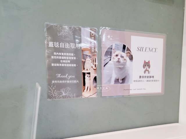 貓咪指甲斷掉,貓咪指甲流血會自己好嗎,貓貓指甲整個掉了怎麼辦,貓咪指甲斷掉dcard,貓咪指甲斷掉包紮,貓咪指甲裂開流血,貓咪指甲流血優碘,貓咪受傷,貓咪指甲斷掉流血,貓咪落甲,貓咪指甲流血會痛嗎,板橋貓咪醫院,板橋動物醫院推薦,板橋動物醫院dcard,板橋動物醫院ptt,板橋文化路動物醫院,板橋動物醫院推薦ptt,板橋動物醫院 貓,呼嚕貓專科醫院 Purring Cat Hospital預約制看診(板橋動物醫院推薦),呼嚕貓專科醫院 評價,板橋獸醫院,板橋獸醫院推薦,新埔動物醫院,江子翠動物醫院,板橋動物醫院評價 貓咪指甲斷掉,貓咪指甲流血會自己好嗎,貓貓指甲整個掉了怎麼辦,貓咪指甲斷掉dcard,貓咪指甲斷掉包紮,貓咪指甲裂開流血,貓咪指甲流血優碘,貓咪受傷,貓咪指甲斷掉流血,貓咪落甲,貓咪指甲流血會痛嗎,板橋貓咪醫院,板橋動物醫院推薦,板橋動物醫院dcard,板橋動物醫院ptt,板橋文化路動物醫院,板橋動物醫院推薦ptt,板橋動物醫院 貓,呼嚕貓專科醫院 Purring Cat Hospital預約制看診(板橋動物醫院推薦),呼嚕貓專科醫院 評價,板橋獸醫院,板橋獸醫院推薦,新埔動物醫院,江子翠動物醫院,板橋動物醫院評價