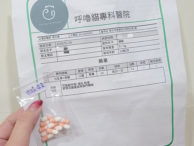 貓咪指甲斷掉,貓咪指甲流血會自己好嗎,貓貓指甲整個掉了怎麼辦,貓咪指甲斷掉dcard,貓咪指甲斷掉包紮,貓咪指甲裂開流血,貓咪指甲流血優碘,貓咪受傷,貓咪指甲斷掉流血,貓咪落甲,貓咪指甲流血會痛嗎,板橋貓咪醫院,板橋動物醫院推薦,板橋動物醫院dcard,板橋動物醫院ptt,板橋文化路動物醫院,板橋動物醫院推薦ptt,板橋動物醫院 貓,呼嚕貓專科醫院 Purring Cat Hospital預約制看診(板橋動物醫院推薦),呼嚕貓專科醫院 評價,板橋獸醫院,板橋獸醫院推薦,新埔動物醫院,江子翠動物醫院,板橋動物醫院評價 貓咪指甲斷掉,貓咪指甲流血會自己好嗎,貓貓指甲整個掉了怎麼辦,貓咪指甲斷掉dcard,貓咪指甲斷掉包紮,貓咪指甲裂開流血,貓咪指甲流血優碘,貓咪受傷,貓咪指甲斷掉流血,貓咪落甲,貓咪指甲流血會痛嗎,板橋貓咪醫院,板橋動物醫院推薦,板橋動物醫院dcard,板橋動物醫院ptt,板橋文化路動物醫院,板橋動物醫院推薦ptt,板橋動物醫院 貓,呼嚕貓專科醫院 Purring Cat Hospital預約制看診(板橋動物醫院推薦),呼嚕貓專科醫院 評價,板橋獸醫院,板橋獸醫院推薦,新埔動物醫院,江子翠動物醫院,板橋動物醫院評價