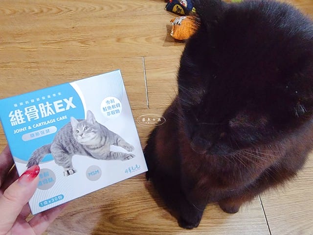可蒂毛毛評價,貓用維骨肽EX營養品評價,貓用關節保健品分享,老貓關節保養品開箱,貓咪活動力保健品開箱,貓過重關節保健品心得,獸醫推薦關節保健分享,有感毛孩骨頭保健分享,專利寵物關節保健開箱,適口性好貓保健品開箱,貓關節修護產品心得,高齡貓保健品分享,高齡貓照護,老貓越來越瘦,老貓營養補充,貓咪關節保健,貓咪關節保健ptt,貓咪關節保健dcard,貓咪關節保養,貓關節保健食品,貓關節炎ptt,貓咪關節炎會好嗎,貓咪軟骨素推薦,