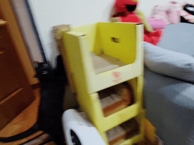 可蒂毛毛評價,貓用維骨肽EX營養品評價,貓用關節保健品分享,老貓關節保養品開箱,貓咪活動力保健品開箱,貓過重關節保健品心得,獸醫推薦關節保健分享,有感毛孩骨頭保健分享,專利寵物關節保健開箱,適口性好貓保健品開箱,貓關節修護產品心得,高齡貓保健品分享,高齡貓照護,老貓越來越瘦,老貓營養補充,貓咪關節保健,貓咪關節保健ptt,貓咪關節保健dcard,貓咪關節保養,貓關節保健食品,貓關節炎ptt,貓咪關節炎會好嗎,貓咪軟骨素推薦,