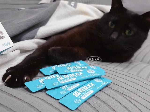 可蒂毛毛評價,貓用維骨肽EX營養品評價,貓用關節保健品分享,老貓關節保養品開箱,貓咪活動力保健品開箱,貓過重關節保健品心得,獸醫推薦關節保健分享,有感毛孩骨頭保健分享,專利寵物關節保健開箱,適口性好貓保健品開箱,貓關節修護產品心得,高齡貓保健品分享,高齡貓照護,老貓越來越瘦,老貓營養補充,貓咪關節保健,貓咪關節保健ptt,貓咪關節保健dcard,貓咪關節保養,貓關節保健食品,貓關節炎ptt,貓咪關節炎會好嗎,貓咪軟骨素推薦,