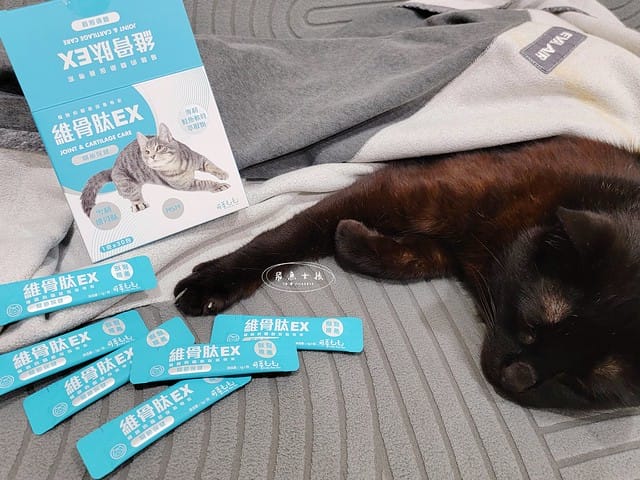 可蒂毛毛評價,貓用維骨肽EX營養品評價,貓用關節保健品分享,老貓關節保養品開箱,貓咪活動力保健品開箱,貓過重關節保健品心得,獸醫推薦關節保健分享,有感毛孩骨頭保健分享,專利寵物關節保健開箱,適口性好貓保健品開箱,貓關節修護產品心得,高齡貓保健品分享,高齡貓照護,老貓越來越瘦,老貓營養補充,貓咪關節保健,貓咪關節保健ptt,貓咪關節保健dcard,貓咪關節保養,貓關節保健食品,貓關節炎ptt,貓咪關節炎會好嗎,貓咪軟骨素推薦,