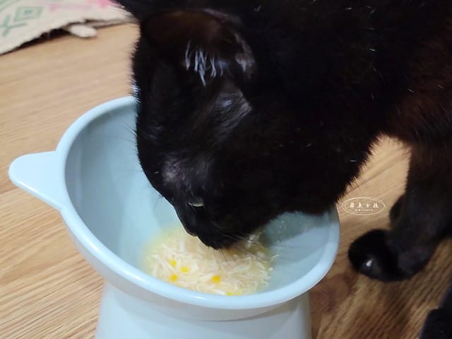 可蒂毛毛評價,貓用維骨肽EX營養品評價,貓用關節保健品分享,老貓關節保養品開箱,貓咪活動力保健品開箱,貓過重關節保健品心得,獸醫推薦關節保健分享,有感毛孩骨頭保健分享,專利寵物關節保健開箱,適口性好貓保健品開箱,貓關節修護產品心得,高齡貓保健品分享,高齡貓照護,老貓越來越瘦,老貓營養補充,貓咪關節保健,貓咪關節保健ptt,貓咪關節保健dcard,貓咪關節保養,貓關節保健食品,貓關節炎ptt,貓咪關節炎會好嗎,貓咪軟骨素推薦,