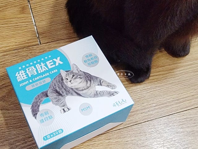 可蒂毛毛評價,貓用維骨肽EX營養品評價,貓用關節保健品分享,老貓關節保養品開箱,貓咪活動力保健品開箱,貓過重關節保健品心得,獸醫推薦關節保健分享,有感毛孩骨頭保健分享,專利寵物關節保健開箱,適口性好貓保健品開箱,貓關節修護產品心得,高齡貓保健品分享,高齡貓照護,老貓越來越瘦,老貓營養補充,貓咪關節保健,貓咪關節保健ptt,貓咪關節保健dcard,貓咪關節保養,貓關節保健食品,貓關節炎ptt,貓咪關節炎會好嗎,貓咪軟骨素推薦,