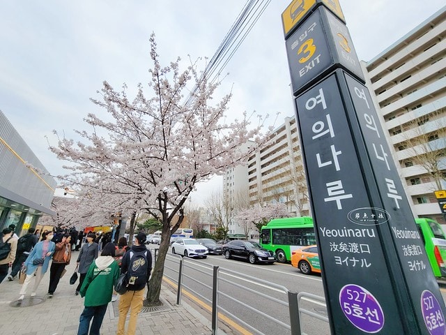 漢江泡麵,漢江泡麵時間,漢江公園泡麵2024,漢江公園泡麵dcard,漢江公園野餐,漢江 Dcard,汝 矣 島 Dcard,漢江公園泡麵機,漢江吃泡麵dcard,漢江公園怎麼去,漢江公園地鐵出口,漢江公園韓文,汝矣渡口站漢江泡麵攻略,漢江野餐,漢江野餐租借,汝矣渡口站,汝矣島漢江公園,汝矣島漢江公園冬天,汝矣島櫻花,漢江公園,汝矣島現代百貨,汝矣島現代百貨樓層介紹,漢江泡麵機攻略,漢江泡麵機使用教學,汝矣島現代百貨交通,現代百貨 汝矣島,汝矣島現代百貨地鐵出口,汝矣島現代百貨美食,汝矣島現代百貨必吃,韓國泡麵機 韓文,韓國自助泡麵機,盤浦漢江公園泡麵纛島漢江公園泡麵,漢江Dcard