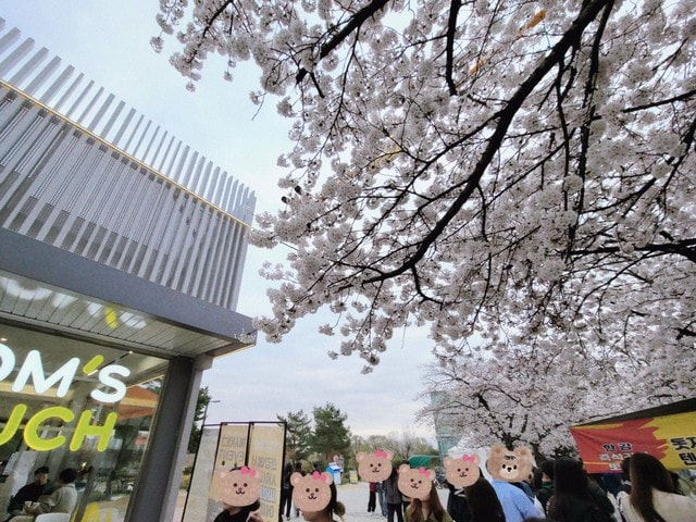 漢江泡麵,漢江泡麵時間,漢江公園泡麵2024,漢江公園泡麵dcard,漢江公園野餐,漢江 Dcard,汝 矣 島 Dcard,漢江公園泡麵機,漢江吃泡麵dcard,漢江公園怎麼去,漢江公園地鐵出口,漢江公園韓文,汝矣渡口站漢江泡麵攻略,漢江野餐,漢江野餐租借,汝矣渡口站,汝矣島漢江公園,汝矣島漢江公園冬天,汝矣島櫻花,漢江公園,汝矣島現代百貨,汝矣島現代百貨樓層介紹,漢江泡麵機攻略,漢江泡麵機使用教學,汝矣島現代百貨交通,現代百貨 汝矣島,汝矣島現代百貨地鐵出口,汝矣島現代百貨美食,汝矣島現代百貨必吃,韓國泡麵機 韓文,韓國自助泡麵機,盤浦漢江公園泡麵纛島漢江公園泡麵,漢江Dcard