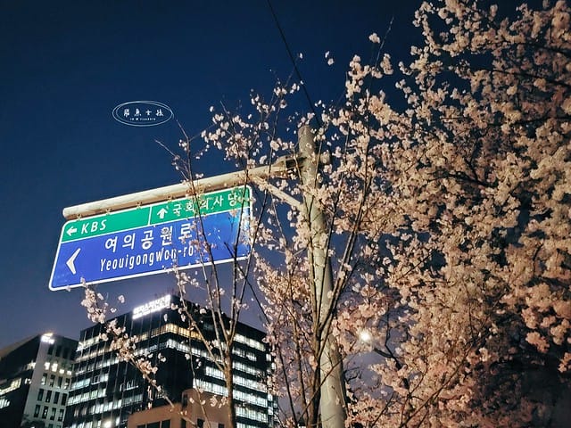 汝矣島櫻花,汝矣島夜櫻,汝矣島櫻花節,首爾賞櫻景點,汝矣島櫻花大道交通,汝矣島櫻花節2025時間,汝矣島櫻花拍照景點,汝矣島賞櫻攻略,汝矣島夜櫻最佳時間,汝矣島櫻花怎麼去,汝矣島地鐵怎麼搭,汝矣島賞櫻路線推薦,汝矣島櫻花自由行行程,汝矣島夜櫻人潮時間,汝矣島夜櫻IG景點,輪中路 櫻花,輪 中路 櫻花大道,汝 矣 島 櫻花的 圖片,首爾櫻花現況,首爾櫻花2025,2025韓國櫻花開花預測,2025韓國櫻花花期,2025韓國櫻花季節,2025韓國櫻花開花時間,2025韓國櫻花,2025首爾櫻花開花預測,2025韓國各地櫻花開花日期,2025韓國賞櫻行程規劃,2025韓國櫻花預測,2025櫻花預測,韓國櫻花季2025,韓國櫻花花期,韓國櫻花首爾,韓國櫻花時間,首爾櫻花現況,首爾賞櫻自由行,首爾賞櫻,首爾4月櫻花,韓國櫻花預測2025,2025釜山櫻花預測,首爾六天五夜,首爾林smtown,首爾6天5夜自由行,首爾6天5夜,韓國賞櫻景點推薦,首爾賞櫻景點推薦,首爾哪裡有櫻花首爾 櫻花季,首爾林櫻花