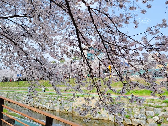 首爾櫻花,2025韓國櫻花,韓國櫻花預測,2024韓國櫻花預測,首爾良才川,首爾櫻花祭,首爾櫻花景點,首爾櫻花季節,2024韓國開花預測,良才市民之林,首爾櫻花現況,良才川 櫻花,良才市民之林櫻花,首爾 櫻花景點,首爾良才川櫻花,良才川櫻花交通方式,良才川櫻花怎麼去,良才川櫻花拍攝景點,良才市民之林 交通,良才市民之林樱花,2025韓國櫻花開花預測,2025韓國櫻花花期,2025韓國櫻花季節,2025韓國櫻花開花時間,2025韓國櫻花,2025首爾櫻花開花預測,2025韓國各地櫻花開花日期,2025韓國賞櫻行程規劃,2025韓國櫻花預測,2025櫻花預測,韓國櫻花季2025,韓國櫻花花期,韓國櫻花首爾,韓國櫻花時間,首爾櫻花現況,首爾賞櫻自由行,首爾賞櫻,首爾4月櫻花,韓國櫻花預測2025,2025釜山櫻花預測,首爾六天五夜,首爾林smtown,首爾6天5夜自由行,首爾6天5夜,韓國賞櫻景點推薦,首爾賞櫻景點推薦,首爾哪裡有櫻花首爾 櫻花季,首爾林櫻花