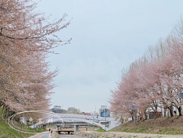 首爾櫻花,2025韓國櫻花,韓國櫻花預測,2024韓國櫻花預測,首爾良才川,首爾櫻花祭,首爾櫻花景點,首爾櫻花季節,2024韓國開花預測,良才市民之林,首爾櫻花現況,良才川 櫻花,良才市民之林櫻花,首爾 櫻花景點,首爾良才川櫻花,良才川櫻花交通方式,良才川櫻花怎麼去,良才川櫻花拍攝景點,良才市民之林 交通,良才市民之林樱花,2025韓國櫻花開花預測,2025韓國櫻花花期,2025韓國櫻花季節,2025韓國櫻花開花時間,2025韓國櫻花,2025首爾櫻花開花預測,2025韓國各地櫻花開花日期,2025韓國賞櫻行程規劃,2025韓國櫻花預測,2025櫻花預測,韓國櫻花季2025,韓國櫻花花期,韓國櫻花首爾,韓國櫻花時間,首爾櫻花現況,首爾賞櫻自由行,首爾賞櫻,首爾4月櫻花,韓國櫻花預測2025,2025釜山櫻花預測,首爾六天五夜,首爾林smtown,首爾6天5夜自由行,首爾6天5夜,韓國賞櫻景點推薦,首爾賞櫻景點推薦,首爾哪裡有櫻花首爾 櫻花季,首爾林櫻花