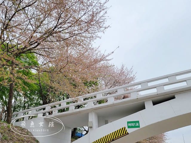 首爾櫻花,2025韓國櫻花,韓國櫻花預測,2024韓國櫻花預測,首爾良才川,首爾櫻花祭,首爾櫻花景點,首爾櫻花季節,2024韓國開花預測,良才市民之林,首爾櫻花現況,良才川 櫻花,良才市民之林櫻花,首爾 櫻花景點,首爾良才川櫻花,良才川櫻花交通方式,良才川櫻花怎麼去,良才川櫻花拍攝景點,良才市民之林 交通,良才市民之林樱花,2025韓國櫻花開花預測,2025韓國櫻花花期,2025韓國櫻花季節,2025韓國櫻花開花時間,2025韓國櫻花,2025首爾櫻花開花預測,2025韓國各地櫻花開花日期,2025韓國賞櫻行程規劃,2025韓國櫻花預測,2025櫻花預測,韓國櫻花季2025,韓國櫻花花期,韓國櫻花首爾,韓國櫻花時間,首爾櫻花現況,首爾賞櫻自由行,首爾賞櫻,首爾4月櫻花,韓國櫻花預測2025,2025釜山櫻花預測,首爾六天五夜,首爾林smtown,首爾6天5夜自由行,首爾6天5夜,韓國賞櫻景點推薦,首爾賞櫻景點推薦,首爾哪裡有櫻花首爾 櫻花季,首爾林櫻花