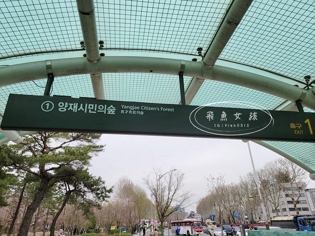 首爾櫻花,2025韓國櫻花,韓國櫻花預測,2024韓國櫻花預測,首爾良才川,首爾櫻花祭,首爾櫻花景點,首爾櫻花季節,2024韓國開花預測,良才市民之林,首爾櫻花現況,良才川 櫻花,良才市民之林櫻花,首爾 櫻花景點,首爾良才川櫻花,良才川櫻花交通方式,良才川櫻花怎麼去,良才川櫻花拍攝景點,良才市民之林 交通,良才市民之林樱花,2025韓國櫻花開花預測,2025韓國櫻花花期,2025韓國櫻花季節,2025韓國櫻花開花時間,2025韓國櫻花,2025首爾櫻花開花預測,2025韓國各地櫻花開花日期,2025韓國賞櫻行程規劃,2025韓國櫻花預測,2025櫻花預測,韓國櫻花季2025,韓國櫻花花期,韓國櫻花首爾,韓國櫻花時間,首爾櫻花現況,首爾賞櫻自由行,首爾賞櫻,首爾4月櫻花,韓國櫻花預測2025,2025釜山櫻花預測,首爾六天五夜,首爾林smtown,首爾6天5夜自由行,首爾6天5夜,韓國賞櫻景點推薦,首爾賞櫻景點推薦,首爾哪裡有櫻花首爾 櫻花季,首爾林櫻花