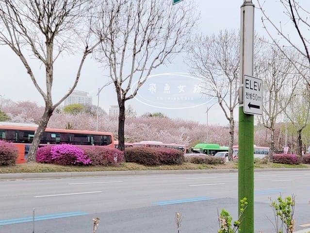 首爾櫻花,2025韓國櫻花,韓國櫻花預測,2024韓國櫻花預測,首爾良才川,首爾櫻花祭,首爾櫻花景點,首爾櫻花季節,2024韓國開花預測,良才市民之林,首爾櫻花現況,良才川 櫻花,良才市民之林櫻花,首爾 櫻花景點,首爾良才川櫻花,良才川櫻花交通方式,良才川櫻花怎麼去,良才川櫻花拍攝景點,良才市民之林 交通,良才市民之林樱花,2025韓國櫻花開花預測,2025韓國櫻花花期,2025韓國櫻花季節,2025韓國櫻花開花時間,2025韓國櫻花,2025首爾櫻花開花預測,2025韓國各地櫻花開花日期,2025韓國賞櫻行程規劃,2025韓國櫻花預測,2025櫻花預測,韓國櫻花季2025,韓國櫻花花期,韓國櫻花首爾,韓國櫻花時間,首爾櫻花現況,首爾賞櫻自由行,首爾賞櫻,首爾4月櫻花,韓國櫻花預測2025,2025釜山櫻花預測,首爾六天五夜,首爾林smtown,首爾6天5夜自由行,首爾6天5夜,韓國賞櫻景點推薦,首爾賞櫻景點推薦,首爾哪裡有櫻花首爾 櫻花季,首爾林櫻花