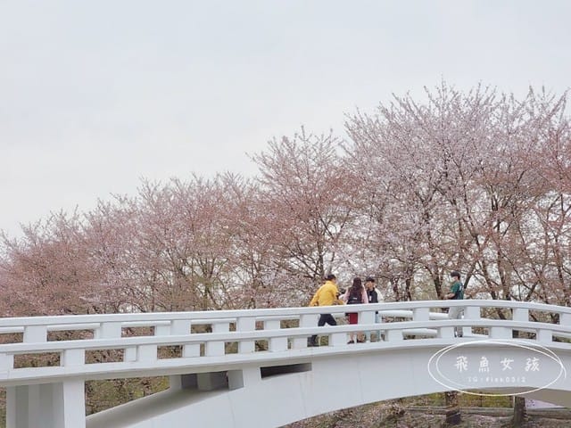 首爾櫻花,2025韓國櫻花,韓國櫻花預測,2024韓國櫻花預測,首爾良才川,首爾櫻花祭,首爾櫻花景點,首爾櫻花季節,2024韓國開花預測,良才市民之林,首爾櫻花現況,良才川 櫻花,良才市民之林櫻花,首爾 櫻花景點,首爾良才川櫻花,良才川櫻花交通方式,良才川櫻花怎麼去,良才川櫻花拍攝景點,良才市民之林 交通,良才市民之林樱花,2025韓國櫻花開花預測,2025韓國櫻花花期,2025韓國櫻花季節,2025韓國櫻花開花時間,2025韓國櫻花,2025首爾櫻花開花預測,2025韓國各地櫻花開花日期,2025韓國賞櫻行程規劃,2025韓國櫻花預測,2025櫻花預測,韓國櫻花季2025,韓國櫻花花期,韓國櫻花首爾,韓國櫻花時間,首爾櫻花現況,首爾賞櫻自由行,首爾賞櫻,首爾4月櫻花,韓國櫻花預測2025,2025釜山櫻花預測,首爾六天五夜,首爾林smtown,首爾6天5夜自由行,首爾6天5夜,韓國賞櫻景點推薦,首爾賞櫻景點推薦,首爾哪裡有櫻花首爾 櫻花季,首爾林櫻花