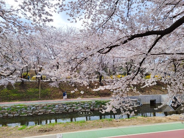 首爾櫻花,2025韓國櫻花,韓國櫻花預測,2024韓國櫻花預測,首爾良才川,首爾櫻花祭,首爾櫻花景點,首爾櫻花季節,2024韓國開花預測,良才市民之林,首爾櫻花現況,良才川 櫻花,良才市民之林櫻花,首爾 櫻花景點,首爾良才川櫻花,良才川櫻花交通方式,良才川櫻花怎麼去,良才川櫻花拍攝景點,良才市民之林 交通,良才市民之林樱花,2025韓國櫻花開花預測,2025韓國櫻花花期,2025韓國櫻花季節,2025韓國櫻花開花時間,2025韓國櫻花,2025首爾櫻花開花預測,2025韓國各地櫻花開花日期,2025韓國賞櫻行程規劃,2025韓國櫻花預測,2025櫻花預測,韓國櫻花季2025,韓國櫻花花期,韓國櫻花首爾,韓國櫻花時間,首爾櫻花現況,首爾賞櫻自由行,首爾賞櫻,首爾4月櫻花,韓國櫻花預測2025,2025釜山櫻花預測,首爾六天五夜,首爾林smtown,首爾6天5夜自由行,首爾6天5夜,韓國賞櫻景點推薦,首爾賞櫻景點推薦,首爾哪裡有櫻花首爾 櫻花季,首爾林櫻花