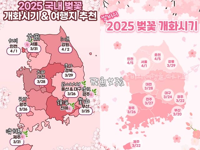 首爾櫻花,2025韓國櫻花,韓國櫻花預測,2024韓國櫻花預測,首爾良才川,首爾櫻花祭,首爾櫻花景點,首爾櫻花季節,2024韓國開花預測,良才市民之林,首爾櫻花現況,良才川 櫻花,良才市民之林櫻花,首爾 櫻花景點,首爾良才川櫻花,良才川櫻花交通方式,良才川櫻花怎麼去,良才川櫻花拍攝景點,良才市民之林 交通,良才市民之林樱花,2025韓國櫻花開花預測,2025韓國櫻花花期,2025韓國櫻花季節,2025韓國櫻花開花時間,2025韓國櫻花,2025首爾櫻花開花預測,2025韓國各地櫻花開花日期,2025韓國賞櫻行程規劃,2025韓國櫻花預測,2025櫻花預測,韓國櫻花季2025,韓國櫻花花期,韓國櫻花首爾,韓國櫻花時間,首爾櫻花現況,首爾賞櫻自由行,首爾賞櫻,首爾4月櫻花,韓國櫻花預測2025,2025釜山櫻花預測,首爾六天五夜,首爾林smtown,首爾6天5夜自由行,首爾6天5夜,韓國賞櫻景點推薦,首爾賞櫻景點推薦,首爾哪裡有櫻花首爾 櫻花季,首爾林櫻花