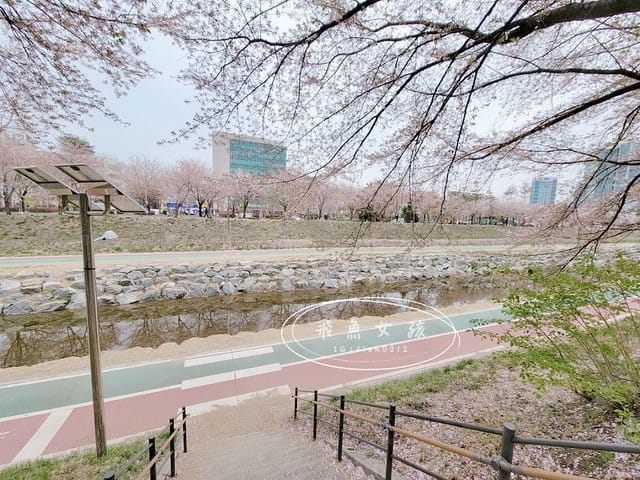 首爾櫻花,2025韓國櫻花,韓國櫻花預測,2024韓國櫻花預測,首爾良才川,首爾櫻花祭,首爾櫻花景點,首爾櫻花季節,2024韓國開花預測,良才市民之林,首爾櫻花現況,良才川 櫻花,良才市民之林櫻花,首爾 櫻花景點,首爾良才川櫻花,良才川櫻花交通方式,良才川櫻花怎麼去,良才川櫻花拍攝景點,良才市民之林 交通,良才市民之林樱花,2025韓國櫻花開花預測,2025韓國櫻花花期,2025韓國櫻花季節,2025韓國櫻花開花時間,2025韓國櫻花,2025首爾櫻花開花預測,2025韓國各地櫻花開花日期,2025韓國賞櫻行程規劃,2025韓國櫻花預測,2025櫻花預測,韓國櫻花季2025,韓國櫻花花期,韓國櫻花首爾,韓國櫻花時間,首爾櫻花現況,首爾賞櫻自由行,首爾賞櫻,首爾4月櫻花,韓國櫻花預測2025,2025釜山櫻花預測,首爾六天五夜,首爾林smtown,首爾6天5夜自由行,首爾6天5夜,韓國賞櫻景點推薦,首爾賞櫻景點推薦,首爾哪裡有櫻花首爾 櫻花季,首爾林櫻花