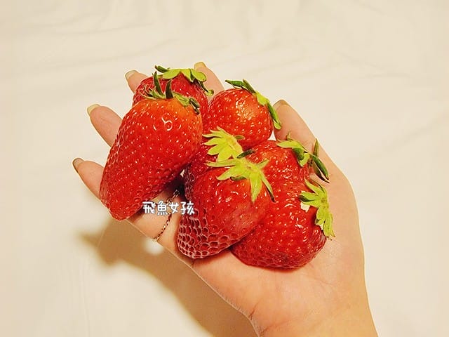 南大門市場美食,首爾南大門市場必吃,南大門市場必吃美食,南大門市場美食推薦,南大門市場小吃,南大門市場自由行,韓國自由行美食推薦,南大門市場豬腳,南大門市場辣燉白帶魚,南大門市場早餐,南大門市場美食地圖,首爾市場美食推薦,韓國南大門市場餐廳,南大門市場美食攻略,南大門市場豬腳推薦,南大門市場韓文,南大門市場營業時間,南大門市場交通,南大門市場地鐵,南大門攻略,南大門市場dcard,南大門童裝時間,南大門童裝批發,南大門童裝地址,南大門草莓乾