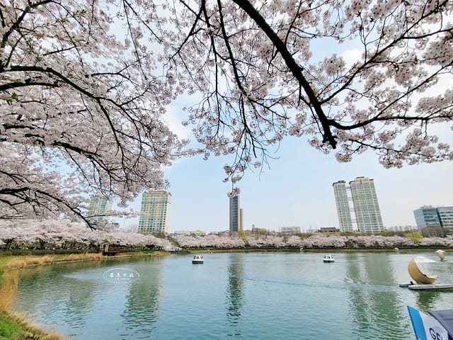 韓國電子入境電子申報,韓國入境新制 2025,韓國電子入境申報填寫教學,韓國電子入境申報懶人包,韓國旅遊入境規定 2025,韓國機場入境流程,韓國機場快速通關,韓國入境表格電子版,韓國電子入境申請步驟,韓國入境電子系統教學,韓國入境卡填寫範例,韓國入境,韓國入境卡填寫,韓國入境卡填寫教學,韓國入境qcode,韓國入境卡職業英文,韓國入境 2025,入境韓國最新規定,韓國入境dcard,韓國入境電子