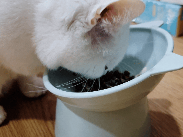 萌肽優LactoTides評價,萌肽優保健品推薦嗎,買過萌肽優優蛋白嗎,寵物營養補給品開箱,寵物蛋白粉分享,寵物膠原蛋白心得,寵物易消化蛋白實測,寵物後生元好處,寵物可以吃乳清蛋白嗎,寵物全護食品推薦,高品質和安全的寵物食品,動物蛋白占比,高鈣優蛋白營養補充品,寵物蛋白粉,寵物膠原蛋白,貓可以吃人的膠原蛋白嗎,寵物 胜 肽,寵物 胜 肽 膠原 蛋白,寵物高蛋白,萌肽優蛋白,萌肽優優蛋白,nippi 寵物 100 膠原 蛋白 胜 肽,狗狗可以吃人的膠原蛋白嗎