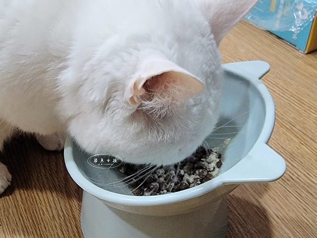 萌肽優LactoTides評價,萌肽優保健品推薦嗎,買過萌肽優優蛋白嗎,寵物營養補給品開箱,寵物蛋白粉分享,寵物膠原蛋白心得,寵物易消化蛋白實測,寵物後生元好處,寵物可以吃乳清蛋白嗎,寵物全護食品推薦,高品質和安全的寵物食品,動物蛋白占比,高鈣優蛋白營養補充品,寵物蛋白粉,寵物膠原蛋白,貓可以吃人的膠原蛋白嗎,寵物 胜 肽,寵物 胜 肽 膠原 蛋白,寵物高蛋白,萌肽優蛋白,萌肽優優蛋白,nippi 寵物 100 膠原 蛋白 胜 肽,狗狗可以吃人的膠原蛋白嗎