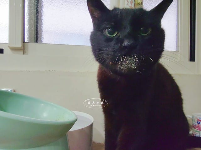 萌肽優LactoTides評價,萌肽優保健品推薦嗎,買過萌肽優優蛋白嗎,寵物營養補給品開箱,寵物蛋白粉分享,寵物膠原蛋白心得,寵物易消化蛋白實測,寵物後生元好處,寵物可以吃乳清蛋白嗎,寵物全護食品推薦,高品質和安全的寵物食品,動物蛋白占比,高鈣優蛋白營養補充品,寵物蛋白粉,寵物膠原蛋白,貓可以吃人的膠原蛋白嗎,寵物 胜 肽,寵物 胜 肽 膠原 蛋白,寵物高蛋白,萌肽優蛋白,萌肽優優蛋白,nippi 寵物 100 膠原 蛋白 胜 肽,狗狗可以吃人的膠原蛋白嗎