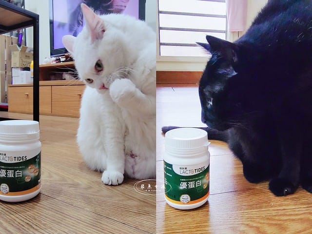 萌肽優LactoTides評價,萌肽優保健品推薦嗎,買過萌肽優優蛋白嗎,寵物營養補給品開箱,寵物蛋白粉分享,寵物膠原蛋白心得,寵物易消化蛋白實測,寵物後生元好處,寵物可以吃乳清蛋白嗎,寵物全護食品推薦,高品質和安全的寵物食品,動物蛋白占比,高鈣優蛋白營養補充品,寵物蛋白粉,寵物膠原蛋白,貓可以吃人的膠原蛋白嗎,寵物 胜 肽,寵物 胜 肽 膠原 蛋白,寵物高蛋白,萌肽優蛋白,萌肽優優蛋白,nippi 寵物 100 膠原 蛋白 胜 肽,狗狗可以吃人的膠原蛋白嗎