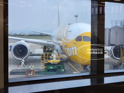 韓國櫻花,首爾櫻花,韓國自由行5天4夜,韓國自由行行程,首爾自由行行程,首爾賞櫻,韓國賞櫻.首爾櫻花推薦.首爾行程,韓國行程推薦,韓國自由行新手,汝矣島現代百貨,京東市場,首爾林SM曠野