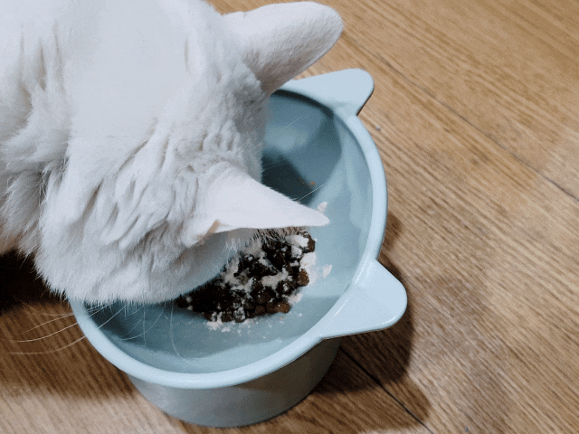 萌肽優LactoTides評價,萌肽優保健品推薦嗎,買過萌肽優優蛋白嗎,寵物營養補給品開箱,寵物蛋白粉分享,寵物膠原蛋白心得,寵物易消化蛋白實測,寵物後生元好處,寵物可以吃乳清蛋白嗎,寵物全護食品推薦,高品質和安全的寵物食品,動物蛋白占比,高鈣優蛋白營養補充品,寵物蛋白粉,寵物膠原蛋白,貓可以吃人的膠原蛋白嗎,寵物 胜 肽,寵物 胜 肽 膠原 蛋白,寵物高蛋白,萌肽優蛋白,萌肽優優蛋白,nippi 寵物 100 膠原 蛋白 胜 肽,狗狗可以吃人的膠原蛋白嗎