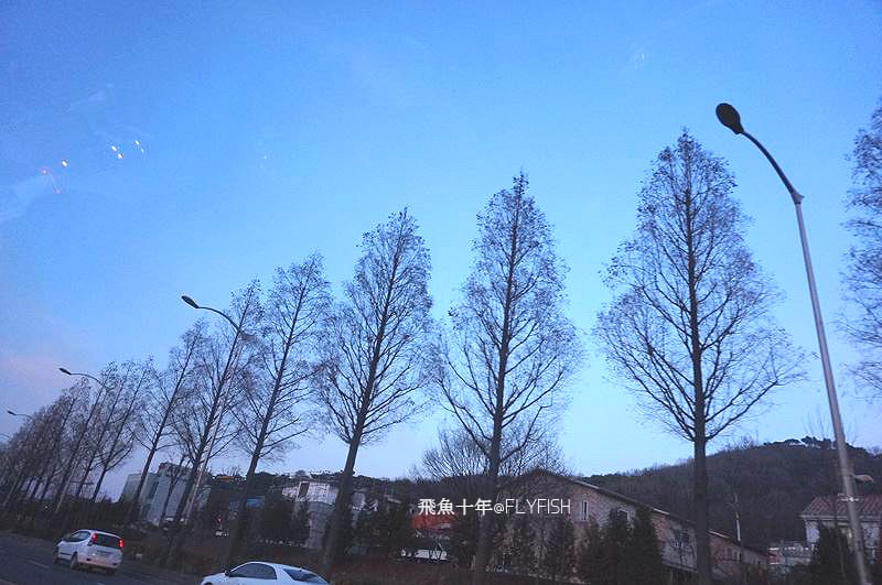 韓國遊記。首爾、釜山、慶尚北道清州/韓國自由行行程/韓國自由