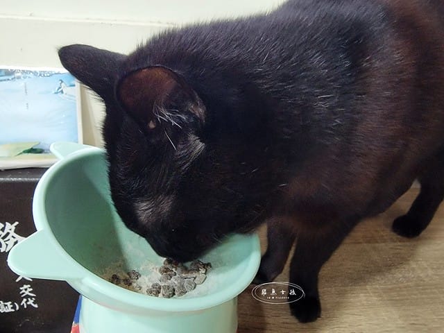 萌肽優LactoTides評價,萌肽優保健品推薦嗎,買過萌肽優優蛋白嗎,寵物營養補給品開箱,寵物蛋白粉分享,寵物膠原蛋白心得,寵物易消化蛋白實測,寵物後生元好處,寵物可以吃乳清蛋白嗎,寵物全護食品推薦,高品質和安全的寵物食品,動物蛋白占比,高鈣優蛋白營養補充品,寵物蛋白粉,寵物膠原蛋白,貓可以吃人的膠原蛋白嗎,寵物 胜 肽,寵物 胜 肽 膠原 蛋白,寵物高蛋白,萌肽優蛋白,萌肽優優蛋白,nippi 寵物 100 膠原 蛋白 胜 肽,狗狗可以吃人的膠原蛋白嗎