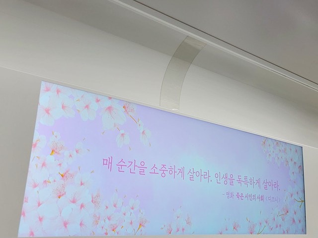 石村湖水櫻花,首爾賞櫻景點,石村湖水公園,2025 首爾櫻花季,首爾石村湖水櫻花怎麼去,石村湖水公園櫻花景點推薦,韓國櫻花自由行2025,韓國櫻花預測2025,韓國櫻花 2025,2025首爾櫻花預測,首爾櫻花2025,首爾櫻花現況,韓國櫻花2025,韓國櫻花預測,韓國櫻花季,2025韓國櫻花,石村湖韓文,石村 湖水 櫻花 慶典,樂天世界 石村湖,首爾樂天湖,樂天世界必玩,樂天世界必玩dcard,樂天世界 心得,樂天世界快速通關dcard,樂天世界塔事件,樂天塔,樂天世界塔購物,樂天世界塔門票,蠶室樂天百貨必買,樂天世界塔樓層介紹,樂天世界購物中心美食,樂天世界美食dcard