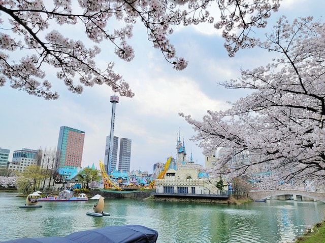石村湖水櫻花,首爾賞櫻景點,石村湖水公園,2025 首爾櫻花季,首爾石村湖水櫻花怎麼去,石村湖水公園櫻花景點推薦,韓國櫻花自由行2025,韓國櫻花預測2025,韓國櫻花 2025,2025首爾櫻花預測,首爾櫻花2025,首爾櫻花現況,韓國櫻花2025,韓國櫻花預測,韓國櫻花季,2025韓國櫻花,石村湖韓文,石村 湖水 櫻花 慶典,樂天世界 石村湖,首爾樂天湖,樂天世界必玩,樂天世界必玩dcard,樂天世界 心得,樂天世界快速通關dcard,樂天世界塔事件,樂天塔,樂天世界塔購物,樂天世界塔門票,蠶室樂天百貨必買,樂天世界塔樓層介紹,樂天世界購物中心美食,樂天世界美食dcard