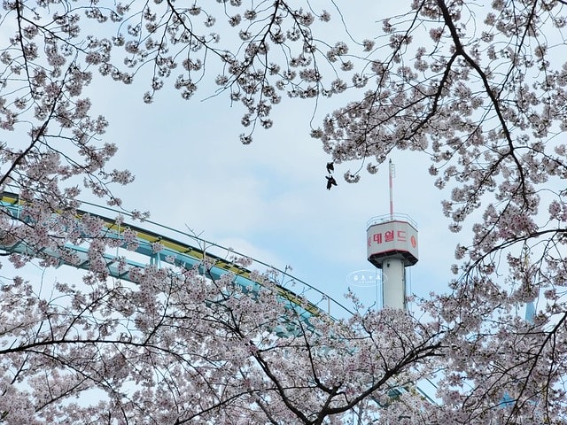 石村湖水櫻花,首爾賞櫻景點,石村湖水公園,2025 首爾櫻花季,首爾石村湖水櫻花怎麼去,石村湖水公園櫻花景點推薦,韓國櫻花自由行2025,韓國櫻花預測2025,韓國櫻花 2025,2025首爾櫻花預測,首爾櫻花2025,首爾櫻花現況,韓國櫻花2025,韓國櫻花預測,韓國櫻花季,2025韓國櫻花,石村湖韓文,石村 湖水 櫻花 慶典,樂天世界 石村湖,首爾樂天湖,樂天世界必玩,樂天世界必玩dcard,樂天世界 心得,樂天世界快速通關dcard,樂天世界塔事件,樂天塔,樂天世界塔購物,樂天世界塔門票,蠶室樂天百貨必買,樂天世界塔樓層介紹,樂天世界購物中心美食,樂天世界美食dcard