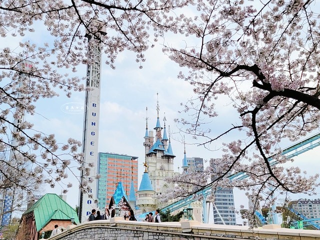 石村湖水櫻花,首爾賞櫻景點,石村湖水公園,2025 首爾櫻花季,首爾石村湖水櫻花怎麼去,石村湖水公園櫻花景點推薦,韓國櫻花自由行2025,韓國櫻花預測2025,韓國櫻花 2025,2025首爾櫻花預測,首爾櫻花2025,首爾櫻花現況,韓國櫻花2025,韓國櫻花預測,韓國櫻花季,2025韓國櫻花,石村湖韓文,石村 湖水 櫻花 慶典,樂天世界 石村湖,首爾樂天湖,樂天世界必玩,樂天世界必玩dcard,樂天世界 心得,樂天世界快速通關dcard,樂天世界塔事件,樂天塔,樂天世界塔購物,樂天世界塔門票,蠶室樂天百貨必買,樂天世界塔樓層介紹,樂天世界購物中心美食,樂天世界美食dcard