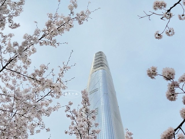 石村湖水櫻花,首爾賞櫻景點,石村湖水公園,2025 首爾櫻花季,首爾石村湖水櫻花怎麼去,石村湖水公園櫻花景點推薦,韓國櫻花自由行2025,韓國櫻花預測2025,韓國櫻花 2025,2025首爾櫻花預測,首爾櫻花2025,首爾櫻花現況,韓國櫻花2025,韓國櫻花預測,韓國櫻花季,2025韓國櫻花,石村湖韓文,石村 湖水 櫻花 慶典,樂天世界 石村湖,首爾樂天湖,樂天世界必玩,樂天世界必玩dcard,樂天世界 心得,樂天世界快速通關dcard,樂天世界塔事件,樂天塔,樂天世界塔購物,樂天世界塔門票,蠶室樂天百貨必買,樂天世界塔樓層介紹,樂天世界購物中心美食,樂天世界美食dcard