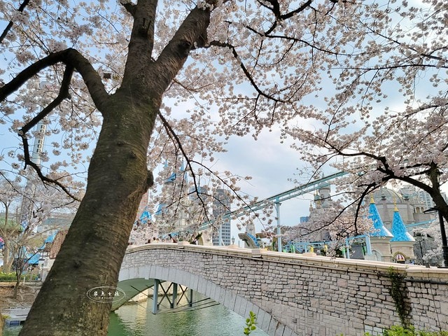 石村湖水櫻花,首爾賞櫻景點,石村湖水公園,2025 首爾櫻花季,首爾石村湖水櫻花怎麼去,石村湖水公園櫻花景點推薦,韓國櫻花自由行2025,韓國櫻花預測2025,韓國櫻花 2025,2025首爾櫻花預測,首爾櫻花2025,首爾櫻花現況,韓國櫻花2025,韓國櫻花預測,韓國櫻花季,2025韓國櫻花,石村湖韓文,石村 湖水 櫻花 慶典,樂天世界 石村湖,首爾樂天湖,樂天世界必玩,樂天世界必玩dcard,樂天世界 心得,樂天世界快速通關dcard,樂天世界塔事件,樂天塔,樂天世界塔購物,樂天世界塔門票,蠶室樂天百貨必買,樂天世界塔樓層介紹,樂天世界購物中心美食,樂天世界美食dcard