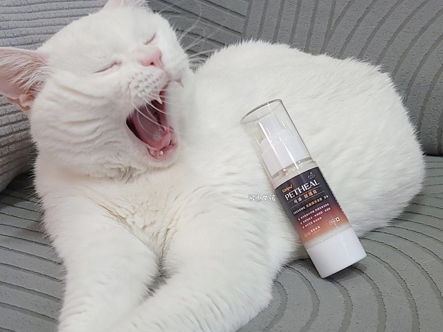  可沛寵藥評價,可沛寵護霜評價,可沛寵護霜好用嗎,寵物萬用膏分享,敏感肌寵物必備分享,寵物居家萬用膏推薦,寵物必備萬用膏推薦,外泌體寵物萬用膏,換季必備寵物萬用膏,蚊蟲叮咬寵物萬用膏,腳掌龜裂寵物萬用膏,滋潤保濕寵物萬用膏,可沛寵藥ptt,可沛好安心,寵物萬用軟膏,寵物萬用軟膏dcard,寵物藥膏哪裡買,貓咪外傷藥膏dcard,貓咪外傷藥膏ptt,貓咪可以擦人類的藥嗎